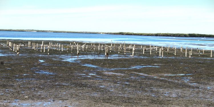 BAJA CALIFORNIA SUR CUENTA CON DIEZ CUERPOS DE AGUA CERTIFICADOS