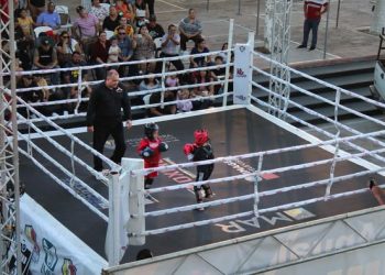 LLEVARÁ A CABO IMSS BAJA CALIFORNIA SUR CAMPEONATO ANUAL DE WUSHU SANDA 2024