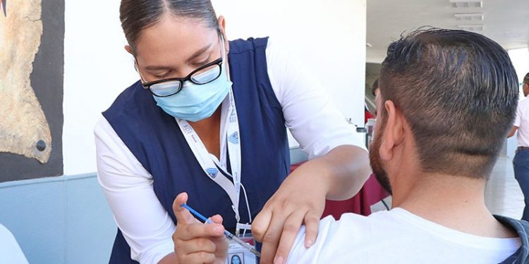 COLABORA FONMAR EN TRABAJOS DE RETIRO DE LIRIO ACUÁTICO EN SAN JOSÉ DEL CABO