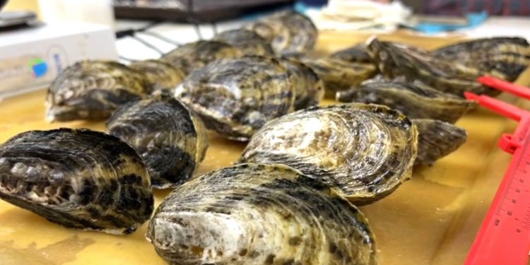 ASIGNA SEP MÁS DE 400 PLAZAS DEFINITIVAS Y TEMPORALES A DOCENTES DE NIVEL BÁSICO