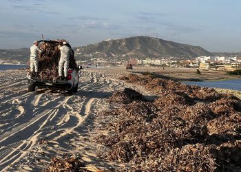 ICA LOS CABOS IMPULSA LA CULTURA Y LA CONCIENCIA AMBIENTAL