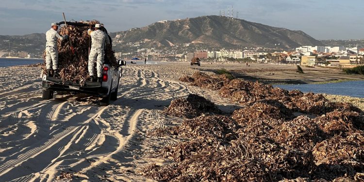 ICA LOS CABOS IMPULSA LA CULTURA Y LA CONCIENCIA AMBIENTAL
