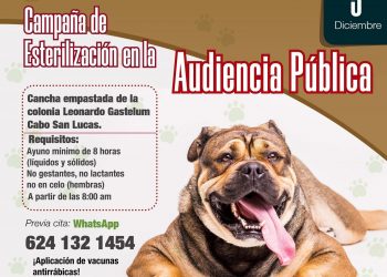 410 ESTERILIZACIONES Y 279 VACUNAS ANTIRRÁBICA EFECTUÓ LA DIRECCIÓN DE SALUD EN NOVIEMBRE