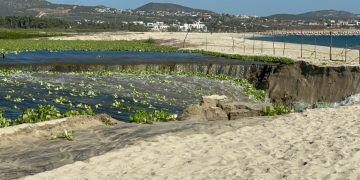 ADVIERTE AYUNTAMIENTO DE LOS CABOS SOBRE APERTURA DE LA BOCANA DEL ESTERO JOSEFINO
