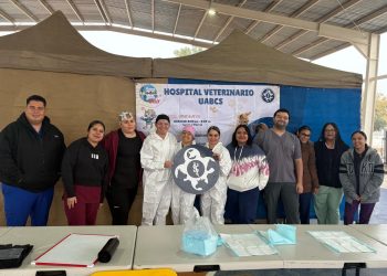 UABCS PARTICIPA EN CAMPAÑA DE ESTERILIZACIÓN CANINA Y FELINA EN ALVARO OBREGON, VIZCAINO