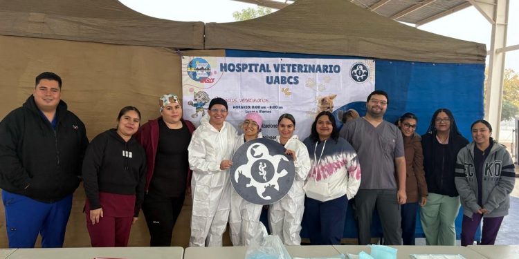 UABCS PARTICIPA EN CAMPAÑA DE ESTERILIZACIÓN CANINA Y FELINA EN ALVARO OBREGON, VIZCAINO