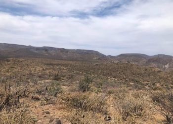 ABCdario Por Víctor Octavio García