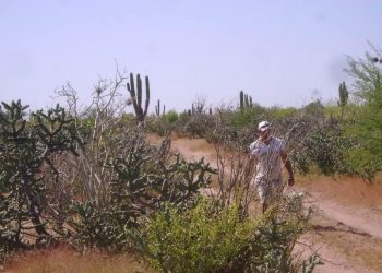 ABCdario Por Víctor Octavio García