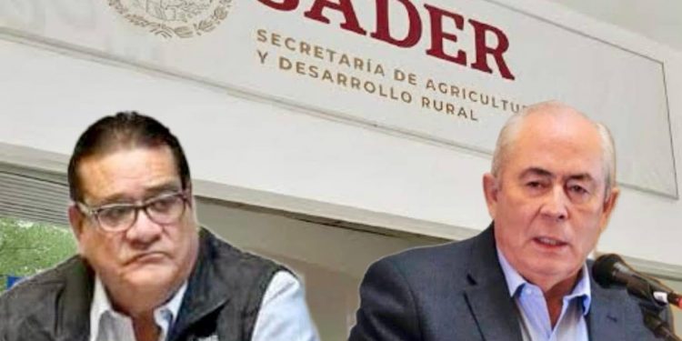 DIRECTO… Y AL GRANO/ LEONEL: ¡SUMAS POLÍTICAS!