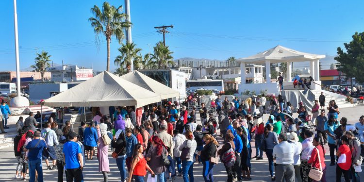 REAFIRMA DIRECCIÓN MUNICIPAL DE PESCA COMPROMISO CON PESCADORES DE LA ZONA NORTE DE LOS CABOS
