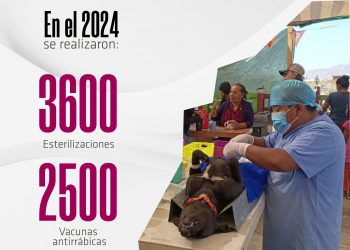 EN 2024 LA DIRECCIÓN DE SALUD REALIZÓ 3 MIL 600 ESTERILIZACIONES Y APLICÓ 2 MIL 500 VACUNAS ANTIRRABICAS EN LOS CABOS