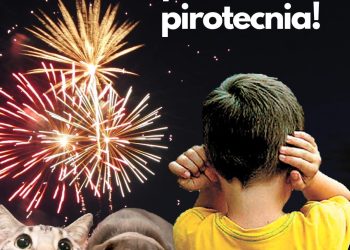 “LOS INVITO A CONCIENTIZARNOS EN EL USO CORRECTO DE LA PIROTECNIA “, EXHORTA DELEGADA KARINA DE LA O URIBE