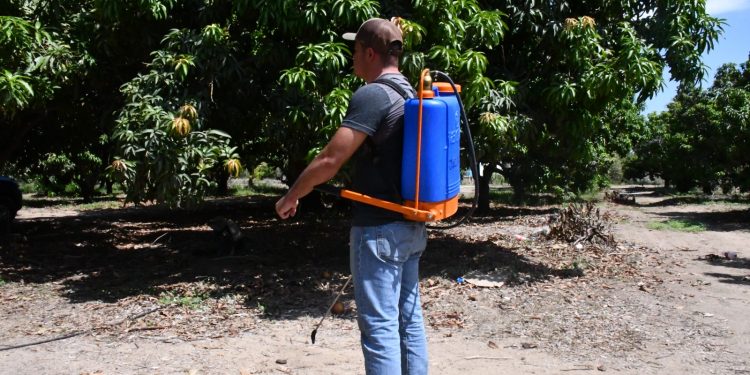 CONCLUYEN DOCENTES DE PREESCOLAR ACOMPAÑAMIENTO ACADÉMICO SOBRE NUEVOS LIBROS DE TEXTO