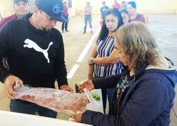 EXISTEN 135 UNIDADES DE PRODUCCIÓN ACUÍCOLA EN BAJA CALIFORNIA SUR