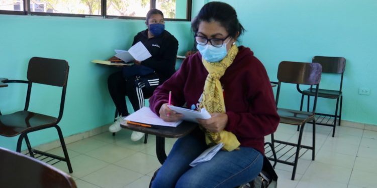 SE HAN RETIRADO MÁS DE 600 HECTÁREAS DE MATERIAL VEGETATIVO PARA PREVENCIÓN DE INCENDIOS FORESTALES EN BCS