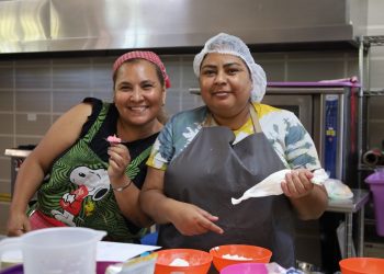 BCS ES REFERENTE NACIONAL EN LA GENERACIÓN DE EMPLEO: STByDS