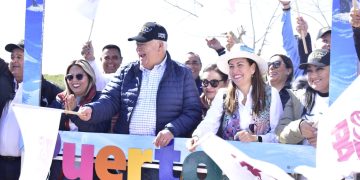 EN MARCHA TEMPORADA DE AVISTAMIENTO DE BALLENA GRIS EN PUERTO CHALE