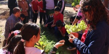 AVANZA BARRIDO DE TUBERCULOSIS EN EL MUNICIPIO DE LOS CABOS