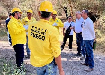 SE HAN RETIRADO MÁS DE 600 HECTÁREAS DE MATERIAL VEGETATIVO PARA PREVENCIÓN DE INCENDIOS FORESTALES EN BCS