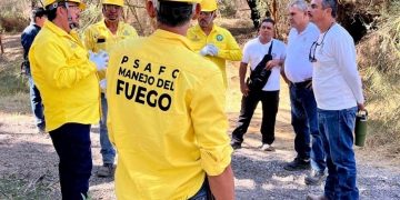 SE HAN RETIRADO MÁS DE 600 HECTÁREAS DE MATERIAL VEGETATIVO PARA PREVENCIÓN DE INCENDIOS FORESTALES EN BCS
