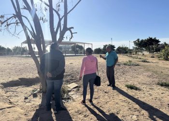 IMPULSA IMAIA PROGRAMA “HUERTO COMUNITARIO”