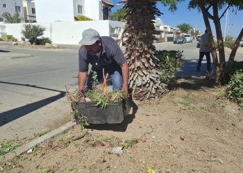 INVITA SERVICIOS PÚBLICOS A LA CAMPAÑA DE LIMPIEZA EN SAN JOSÉ DEL CABO