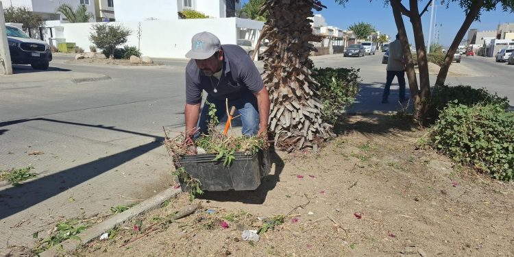 INVITA SERVICIOS PÚBLICOS A LA CAMPAÑA DE LIMPIEZA EN SAN JOSÉ DEL CABO