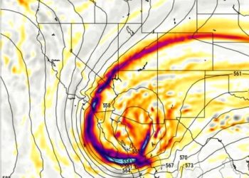 DELEGADA DE CSL COMPARTE LA TRADICIONAL ROSCA DE REYES CON EL PERSONAL DELEGACIONAL