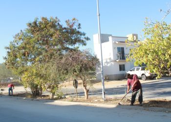 LIMPIA SERVICIOS PÚBLICOS MÁS DE 3 MIL 400 METROS DE CAMELLONES EN SAN JOSÉ DEL CABO