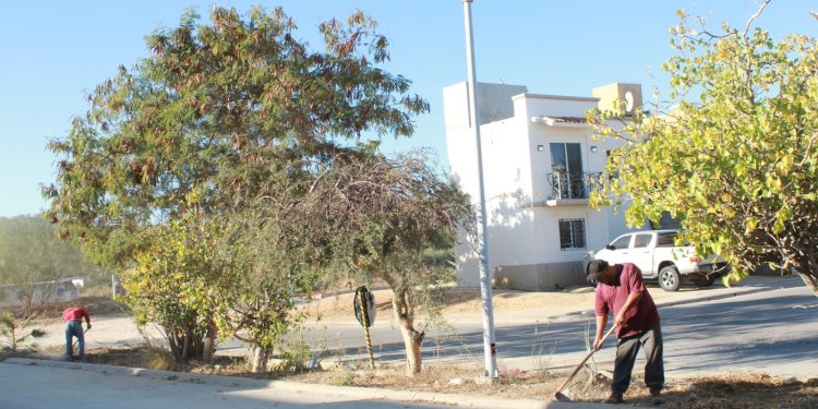 LIMPIA SERVICIOS PÚBLICOS MÁS DE 3 MIL 400 METROS DE CAMELLONES EN SAN JOSÉ DEL CABO