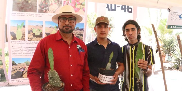 UABCS IMPULSA LA AGRICULTURA SOSTENIBLE EN ZONAS ÁRIDAS MEDIANTE EL ESTUDIO DE CACTÁCEAS Y FRUTALES
