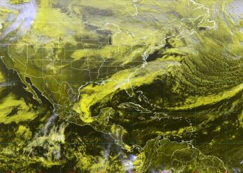 CON CAMPAÑA GRATUITA FUERON ESTERILIZADAS CASI 300 MASCOTAS EN SJC