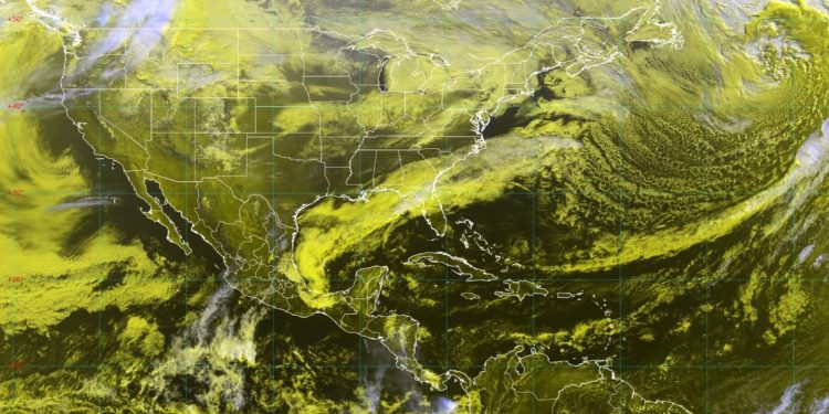 CON CAMPAÑA GRATUITA FUERON ESTERILIZADAS CASI 300 MASCOTAS EN SJC