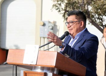 LOS CABOS DE LOS PRIMEROS LUGARES EN LIBERACIÓN DE TORTUGAS EN MEXICO