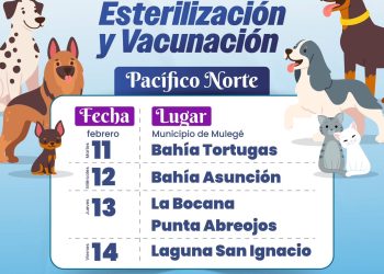 ANUNCIA AYUNTAMIENTO DE MULEGÉ CAMPAÑA DE ESTERILIZACIÓN Y VACUNACIÓN DE MASCOTAS EN LA PACÍFICO NORTE