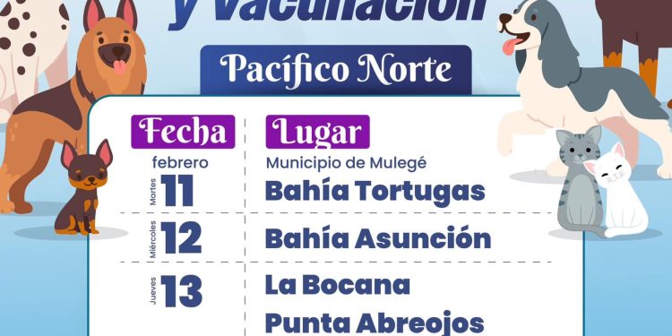 ANUNCIA AYUNTAMIENTO DE MULEGÉ CAMPAÑA DE ESTERILIZACIÓN Y VACUNACIÓN DE MASCOTAS EN LA PACÍFICO NORTE