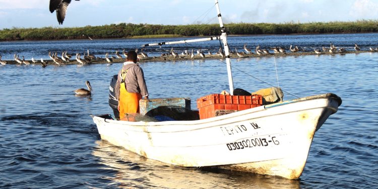 TOMAN PROTESTA LOS REPRESENTANTES DE TRABAJADORES Y PATRONES ANTE LAS JUNTAS DE CONCILIACIÓN DE BCS