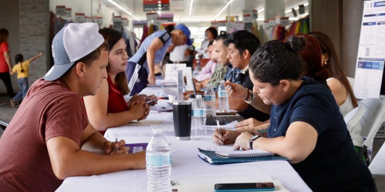 SE HAN RETIRADO MÁS DE 600 HECTÁREAS DE MATERIAL VEGETATIVO PARA PREVENCIÓN DE INCENDIOS FORESTALES EN BCS