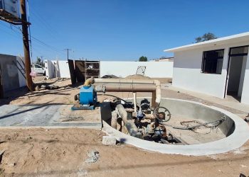 BCS ES REFERENTE NACIONAL EN LA GENERACIÓN DE EMPLEO: STByDS