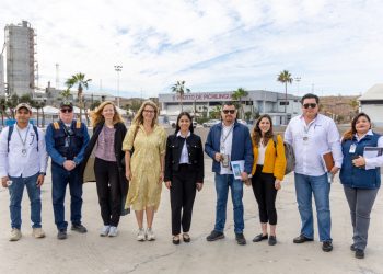 EN MARCHA TEMPORADA DE AVISTAMIENTO DE BALLENA GRIS EN PUERTO CHALE