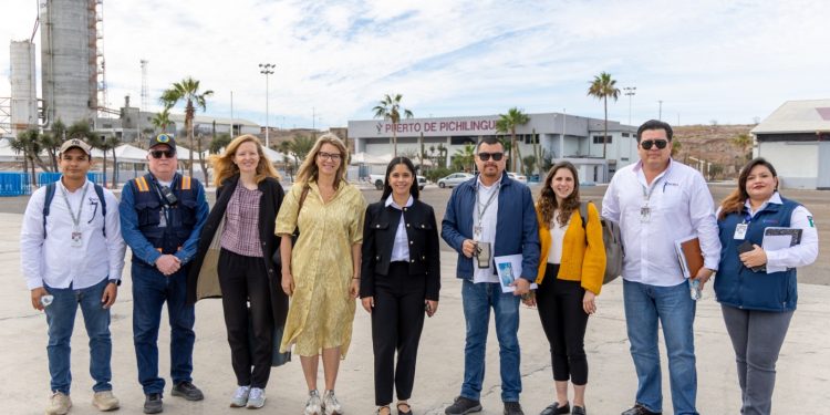 EN MARCHA TEMPORADA DE AVISTAMIENTO DE BALLENA GRIS EN PUERTO CHALE