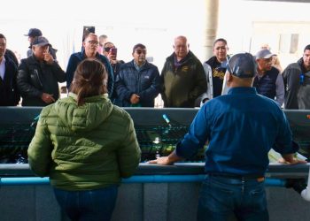 GOBIERNO DEL ESTADO, CONAPESCA,  Y PRODUCTORES SUMAN ESFUERZOS PARA MEJORAR APROVECHAMIENTO DE ABULÓN EN LA PACÍFICO NORTE