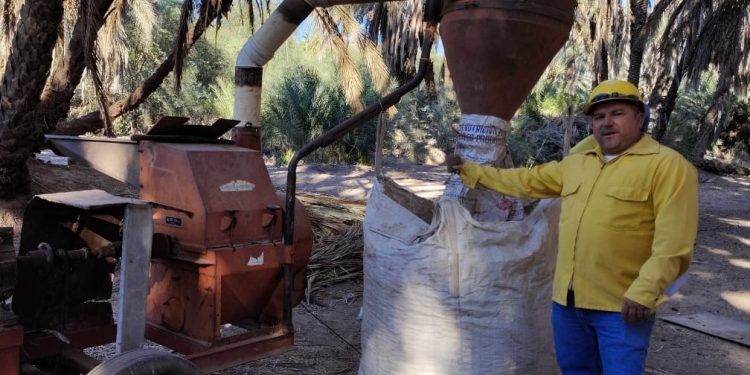 SECUNDARIAS DE BCS PREVÉN UN INCREMENTO DE MIL 500 ESTUDIANTES EL PRÓXIMO CICLO ESCOLAR