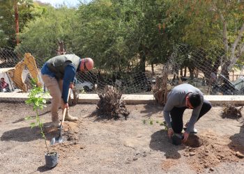 REHABILITAN ESCUELA “ MIGUEL HIDALGO Y COSTILLA” DE LA COMUNIDAD EL SAUZAL EN CABO SAN LUCAS
