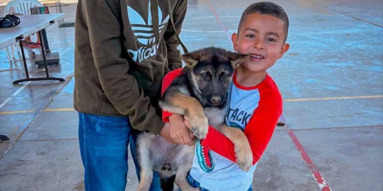 REFUERZA AYUNTAMIENTO DE MULEGÉ LA SALUD PÚBLICA CON EXITOSA CAMPAÑA DE ESTERILIZACIÓN