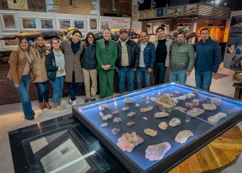 ANUNCIAN FESTIVAL DE LA BALLENA GRIS GUERRERO NEGRO 2025: NACIMIENTO DE GIGANTES