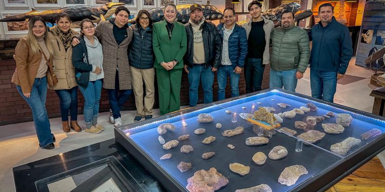 ANUNCIAN FESTIVAL DE LA BALLENA GRIS GUERRERO NEGRO 2025: NACIMIENTO DE GIGANTES