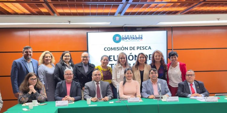 BUSCAN MÁS APOYOS Y MEJORES CONDICIONES DE TRABAJO PARA PESCADORES DE LOS CABOS