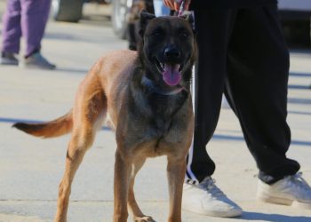 ENTREGAN DONATIVOS DE MATERIAL DEPORTIVO A LA TELESECUNDARIA N0. 66 EN CABO SAN LUCAS