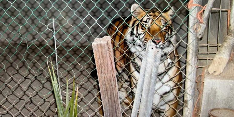 PARTICIPA PROTECCIÓN CIVIL LOS CABOS EN REUNIÓN NACIONAL DE INCENDIOS FORESTALES